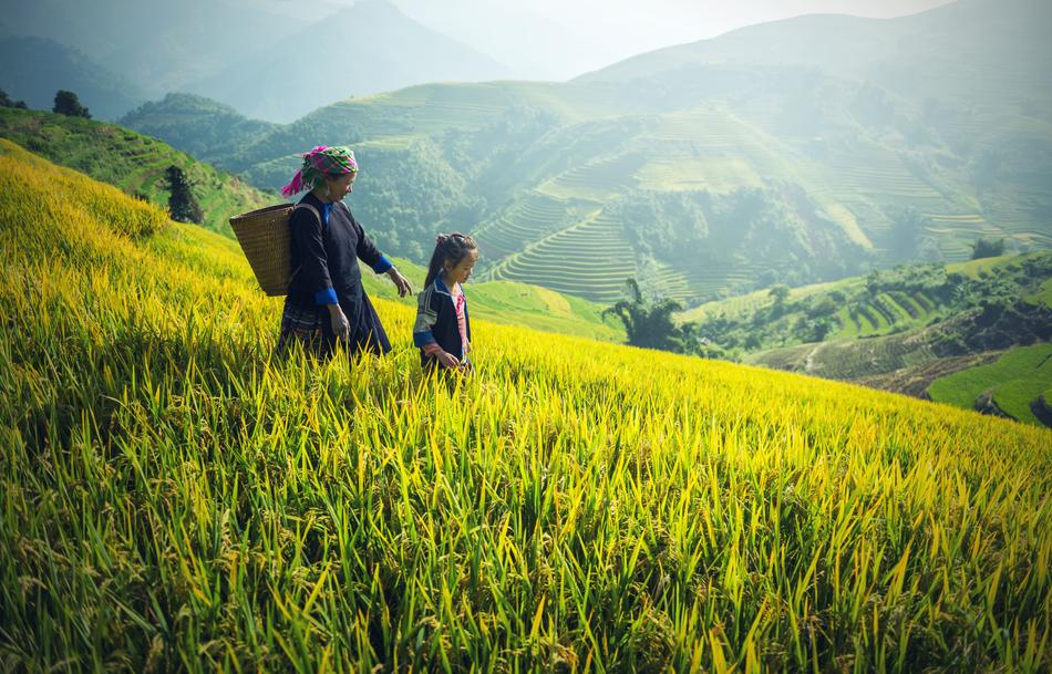 Behold the breathtaking beauty of Amara's childhood home nestled in the heart of the mountains. 
Picture Courtesy: pixy.org 